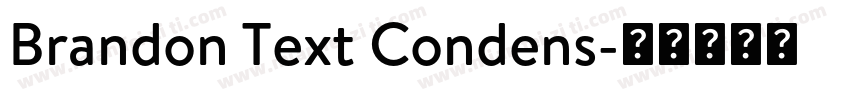 Brandon Text Condens字体转换